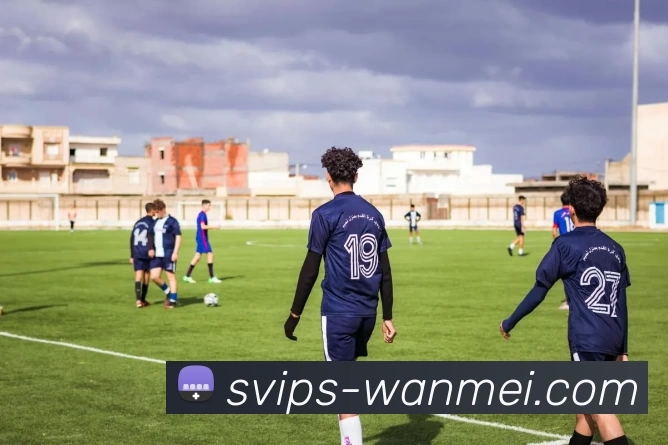 完美体育投注平台APP 封面图